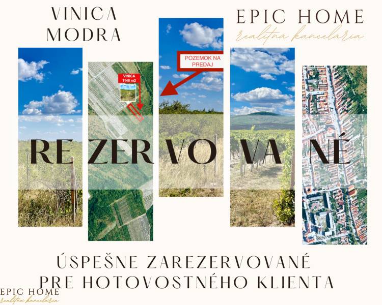 vinica-modra-rezervovane-GROF-EPIC_HOME