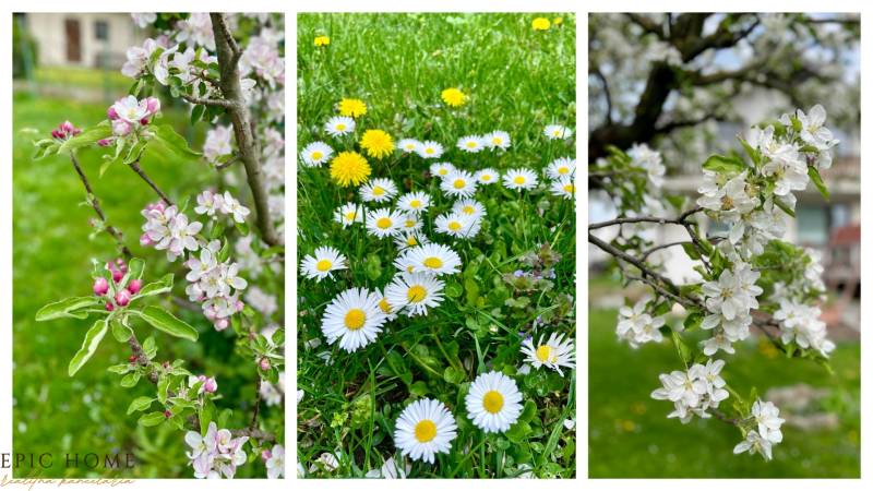 EpicHome_GROF_DOM-predaj_Biskupice_2025_MixCollage-16-May-2025-09-07-PM-6372.jpg