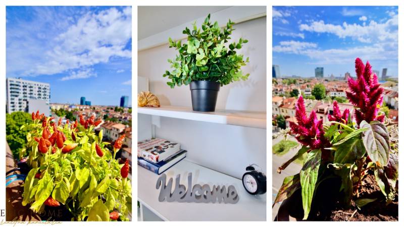 Na_Predaj_4_izbový_Byt_Nove_Mesto_Parasutistov_GROF_EPICHOME_MixCollage-2